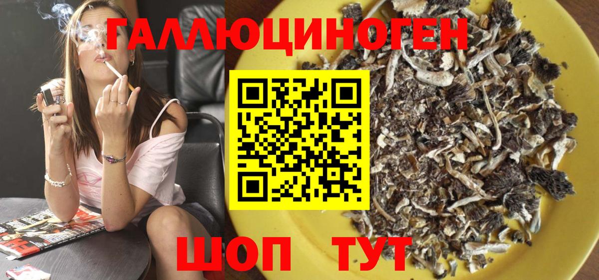 Галлюциногенные грибы Кунгур