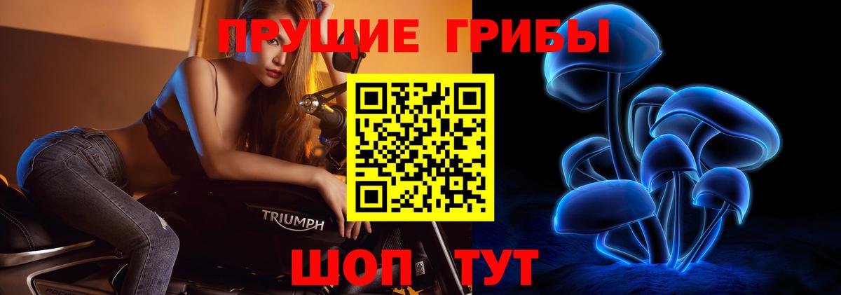Галлюциногенные грибы Cubensis  купить наркотики цена  Кунгур  Вход с VPN 